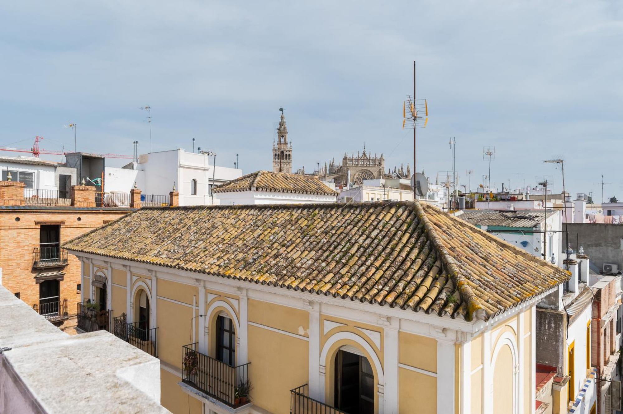 Mara Arenal Sevilla Ngoại thất bức ảnh